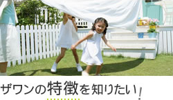 ザワンの特徴を知りたい!